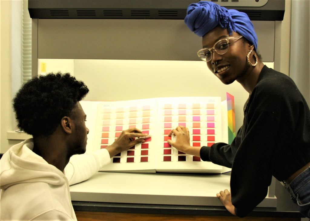 Students looking at colors